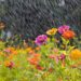 Monsoon Pruning Tips: Shape Up Your Garden This Rainy Season